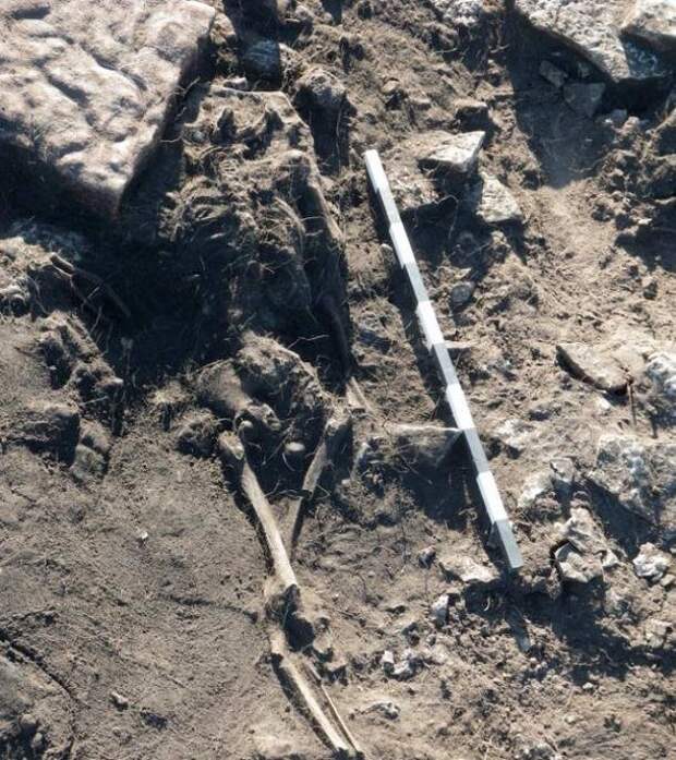 Сандби Борг – крепость, погибшая 15 веков назад, застывшая во времени Клады, археология, интересно, история, скелеты