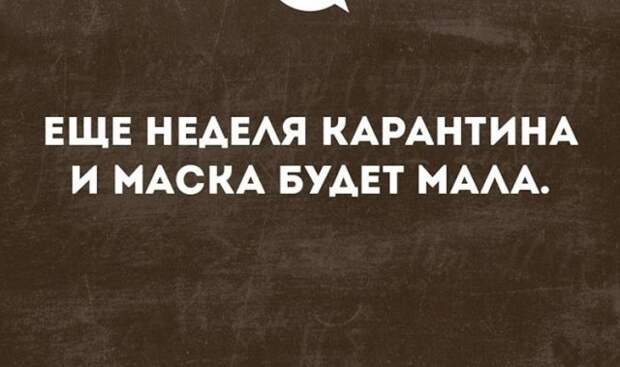 www.vsyako.net