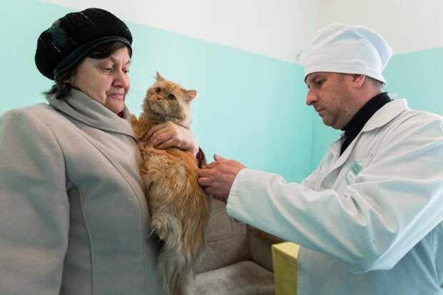 В феврале бесплатно привить питомца от бешенства можно будет по десяти адресам СЗАО