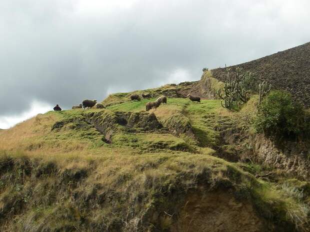 Nariz del Diablo, Ecuador