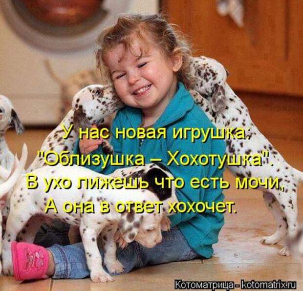 Котоматрицы(картинки с надписями)