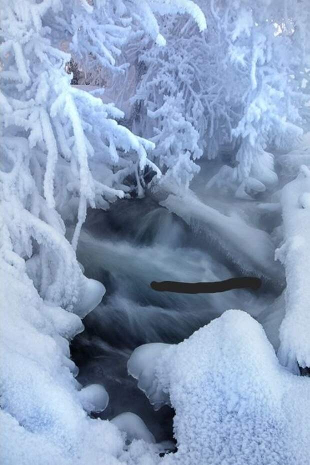 Восхитительные зимние пейзажи