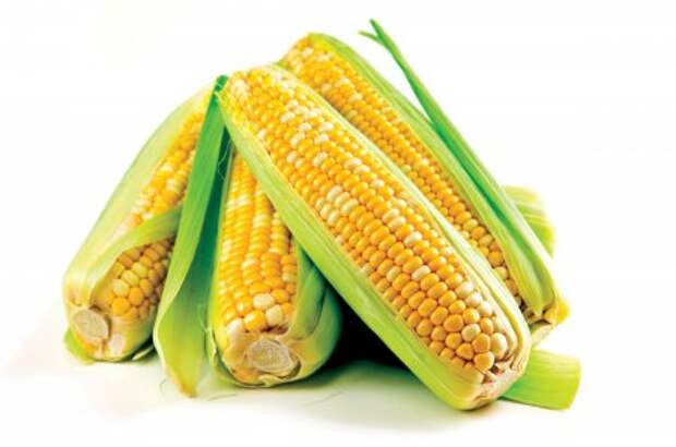 Современная кукуруза гмо, овощи, факты, фрукты