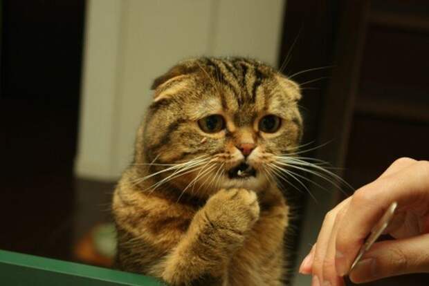 Давайте улыбаться вместе! :)