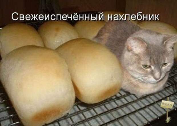 Самые-самые фотки и картинки