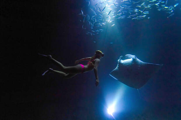 Американская авантюристка плавает с огромными скатами