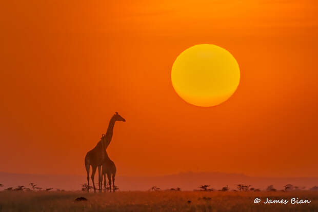 Sunset in Africa by James Bian on 500px.com