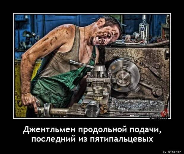 Пятничные демотиваторы: праздники, социум и живность