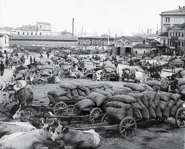 Фото открытых источников. Привезенное зерно готовят к отправке в Германию. 1916 год.