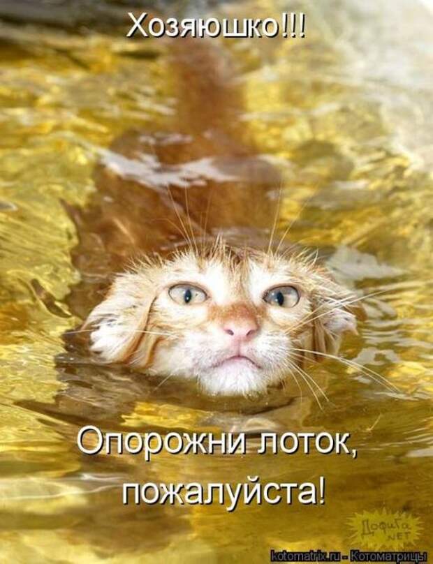 Мысли вслух :)