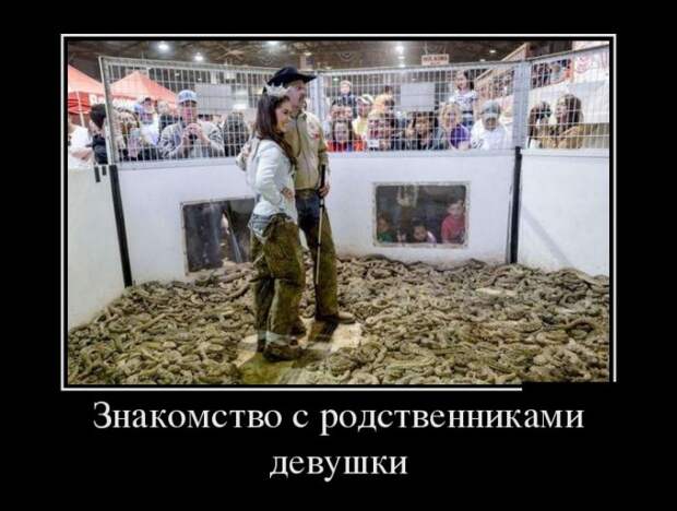 Демотиваторы (30 фото)