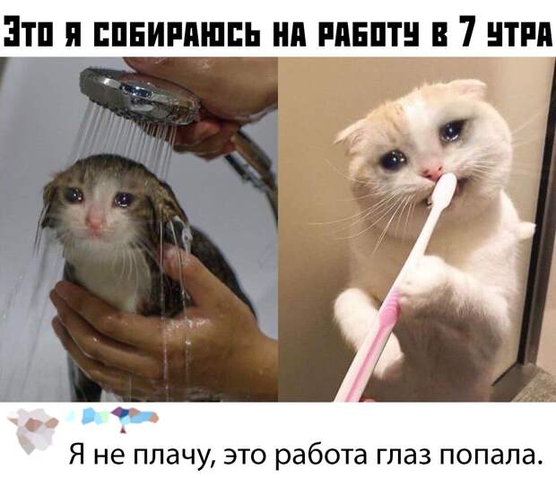 Подборка картинок. Вечерний выпуск (30 фото)
