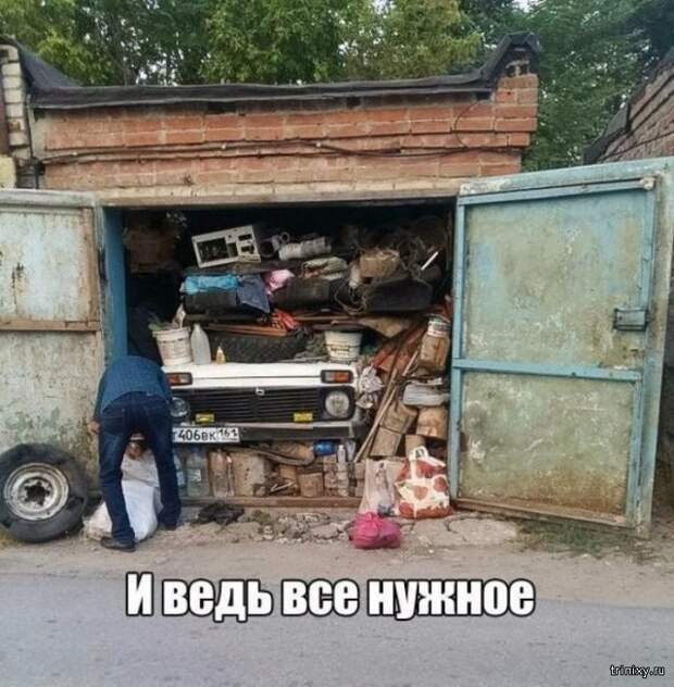 Смешные картинки с надписями