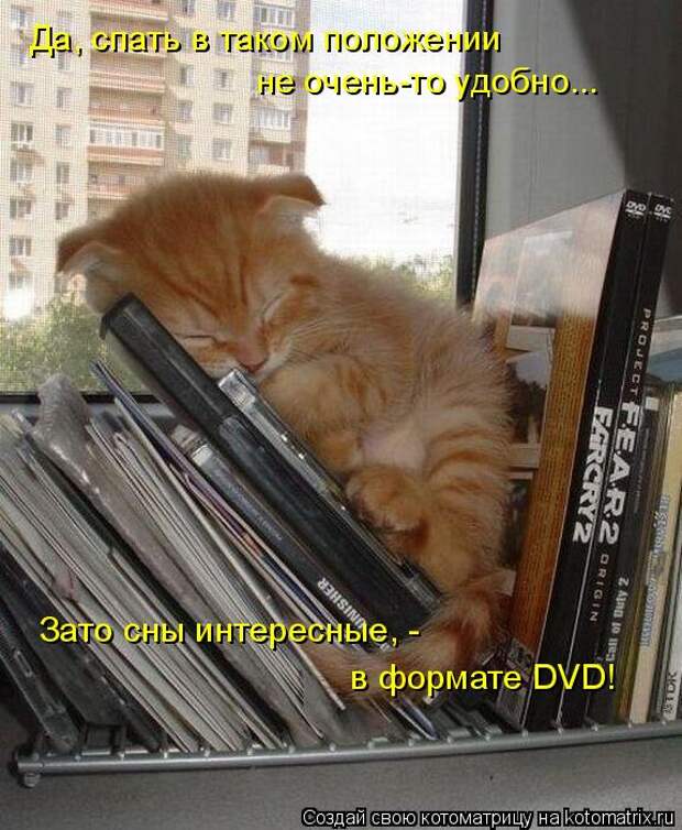 Котоматрица: Да, спать в таком положении не очень-то удобно... Зато сны интересные, - в формате DVD!