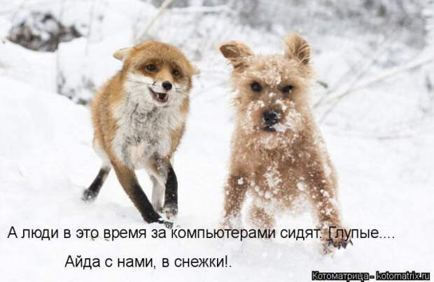 556984 (640x416, 126Kb)