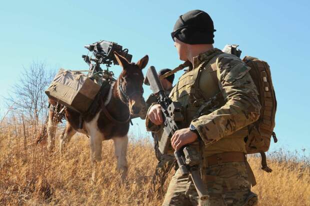 В афганских горах без лошадей и ослов никак - даже американцы их используют