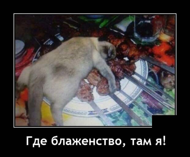 Демотиваторы 23 июня 2021