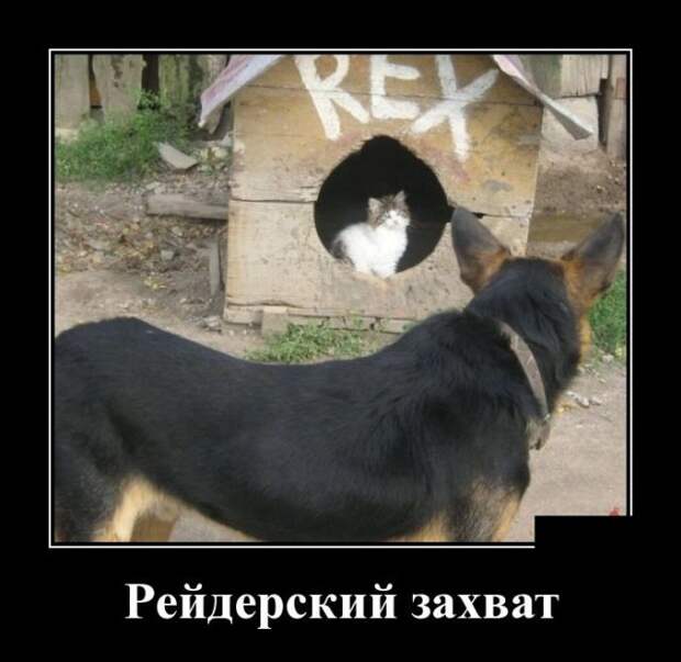 Демотиваторы (30 фото)