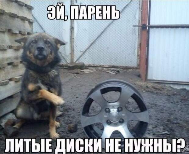 Автомобильные приколы. Часть 234 (28 фото)