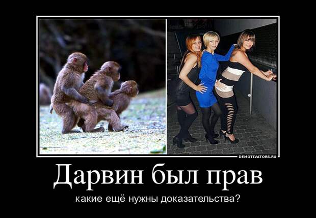 Позитивные и смешные демотиваторы со смыслом (10 фото)