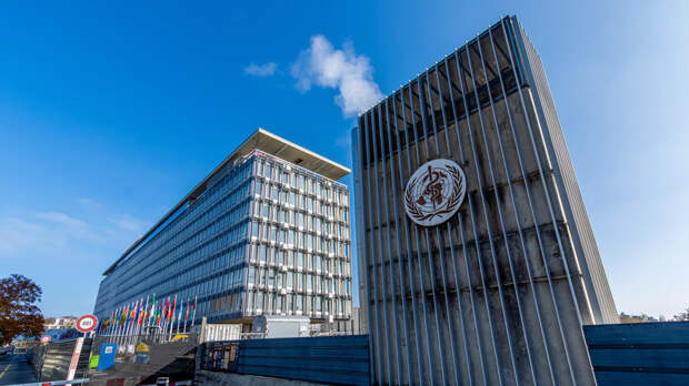 В МИД России заявили, что США должны сами погасить долг перед ВОЗ