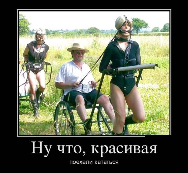 Демотиваторы