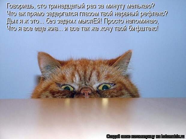 Котоматрица: Говоришь, сто тринадцатый раз за минуту мелькаю? Что аж прямо задергался глазом твой нервный рефлекс? Дык я ж это... без задних мыслЕй! Просто