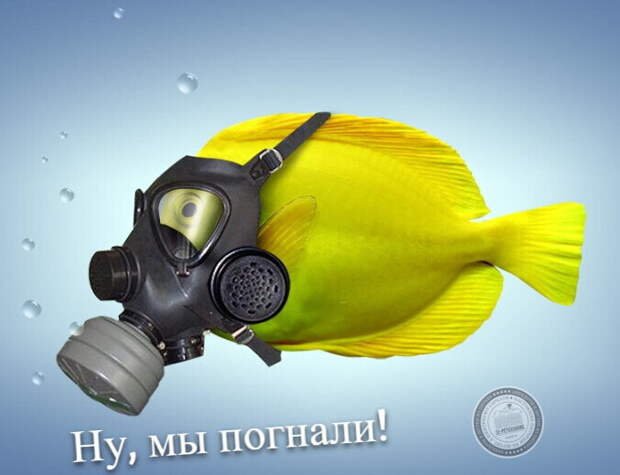 Ну, мы погнали!