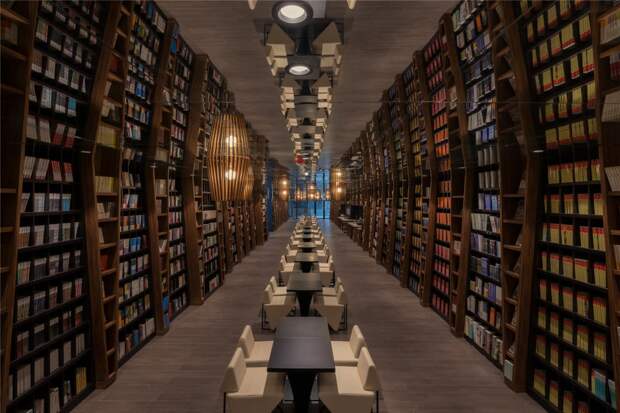 Безумие книжного магазина в Китае