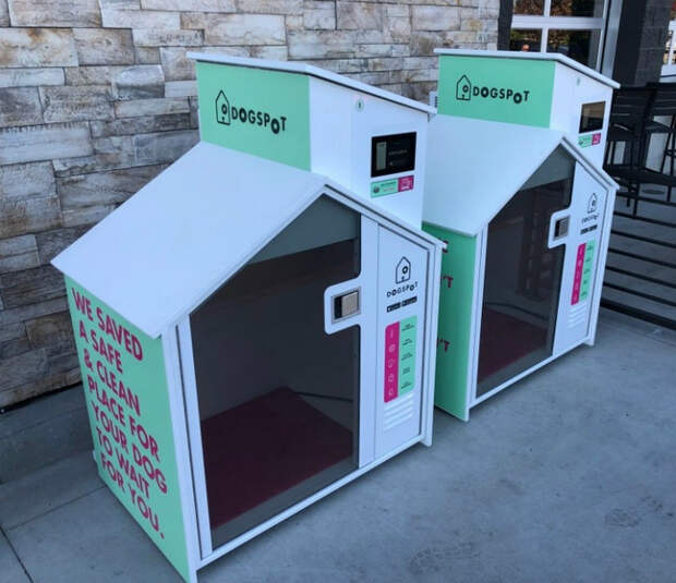 Комфортабельные будки для собак. | Фото: Know Your Meme.
