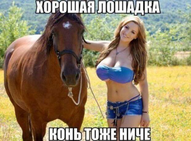 Фотомемы с горячими красотками (24 шт)