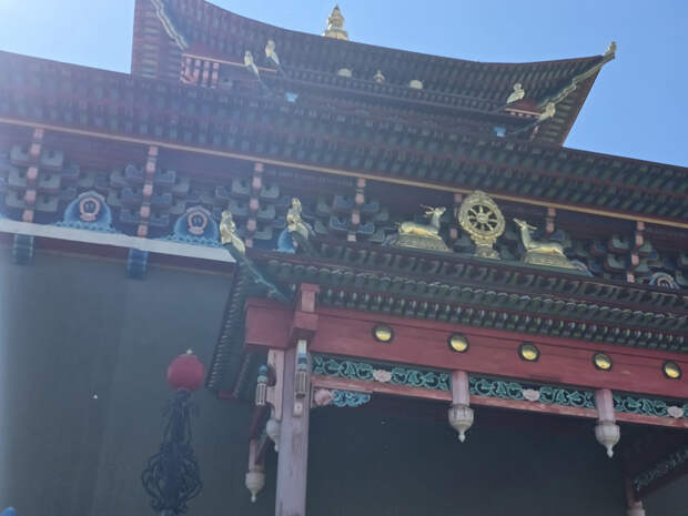 20250815_111852.jpg 20250815_111852.jpg