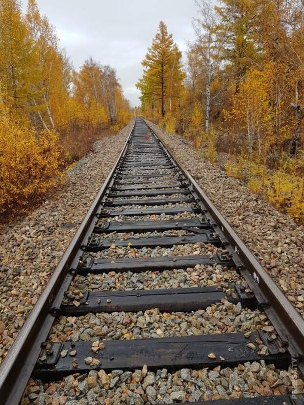 Картинок вам принёс...