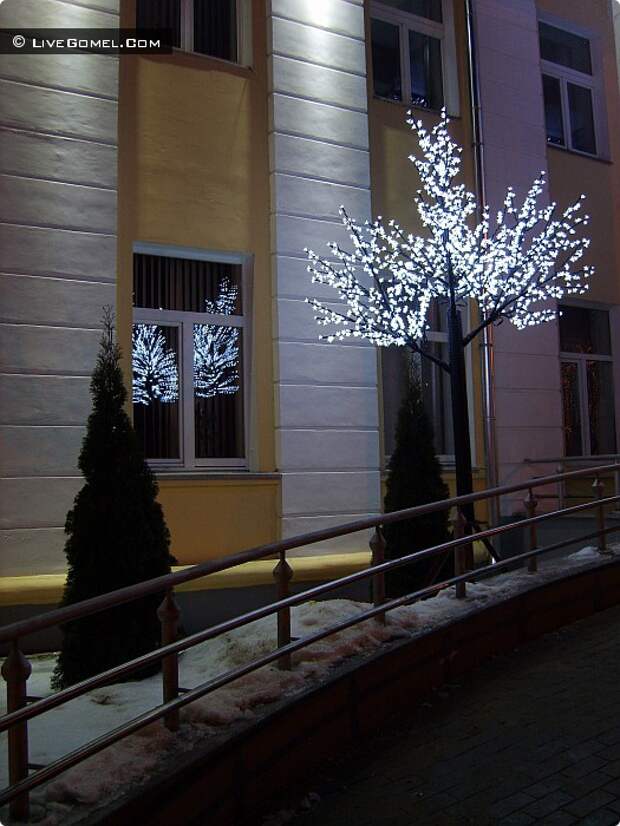 Светодиодное дерево в Новобелицком районе.
