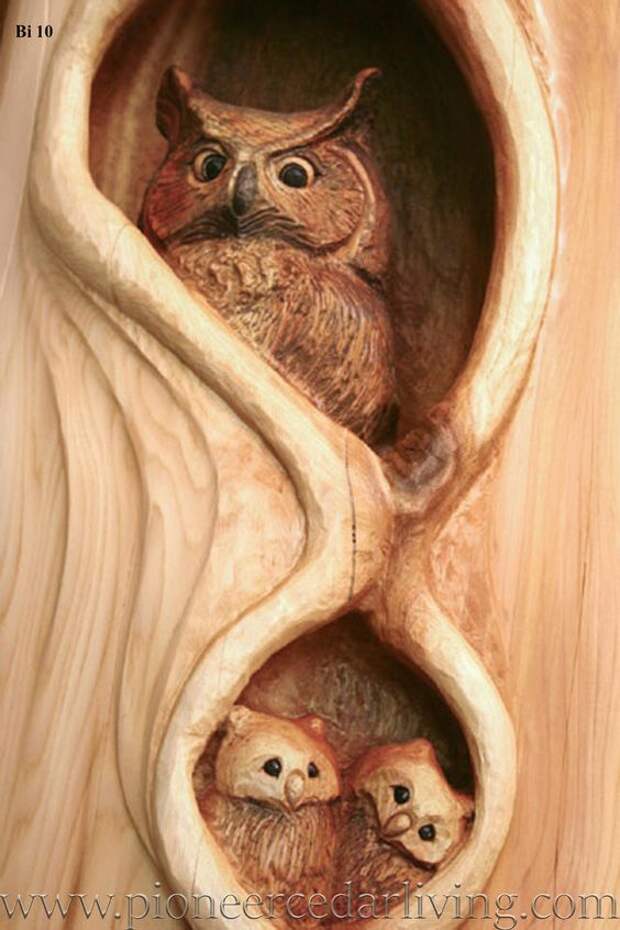 Wood Carving of Owl With Owlets | Pioneer Cedar Living