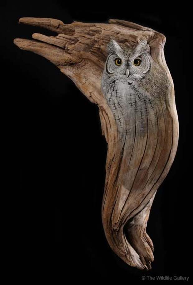 Screech Owl, by wildlife artist and sculptor Earl Matz More