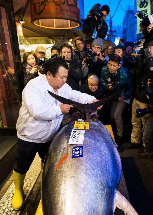 The President of the sushi restaurant chain Sushi Zanmai, Kiyoshi Kimura, removes the fin of a blue fin tuna outside his main restaurant at the outer Tsukiji market, in Tokyo