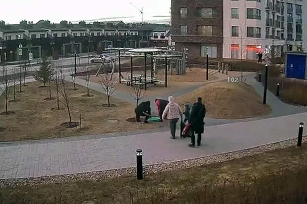 В Тюмени ребенок бежал по двору дома и провалился в колодец