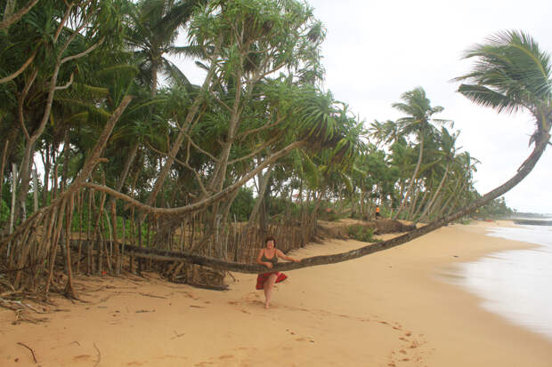 Пляжный отдых на Шри Ланке: Бентота, Тангалле, Мирисса и Велигама