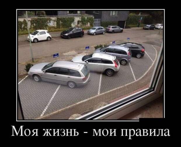 Демотиваторы (30 фото)