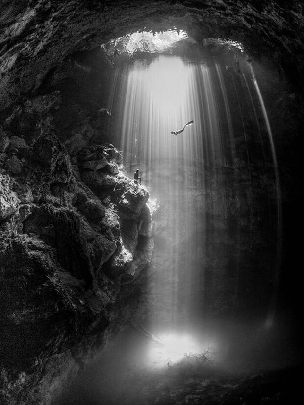 Изумительные снимки, победившие в конкурсе подводной фотографии Scuba Diving 