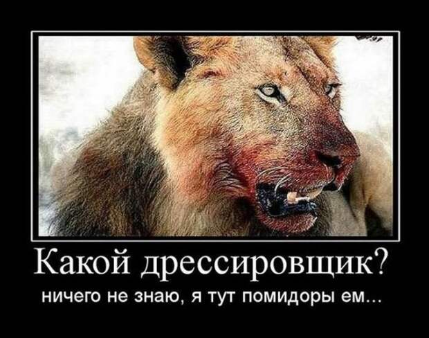 Веселая подборка свежих демотиваторов. Лучшие приколы