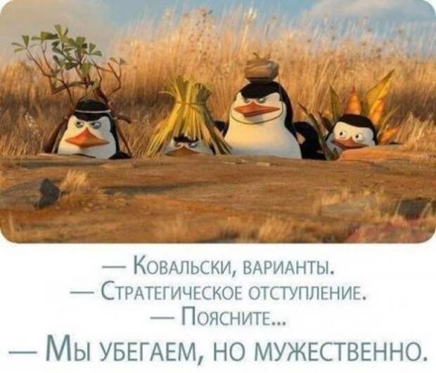 Октябрьские шутки.