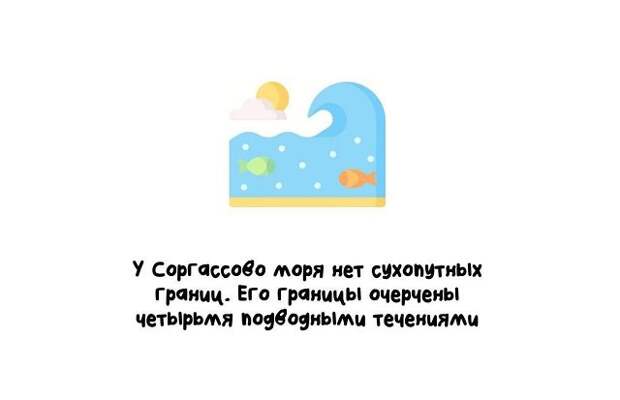 Короткие и интересные факты на все случаи жизни
