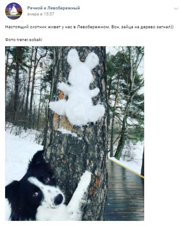 Фото дня: охотник в парке Левобережного