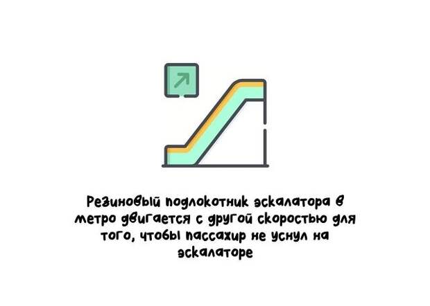 Короткие и интересные факты на все случаи жизни