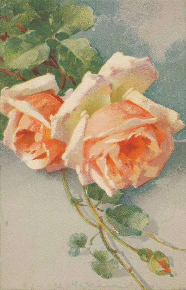 Катарина Клейн (Catharina Klein). Цветы