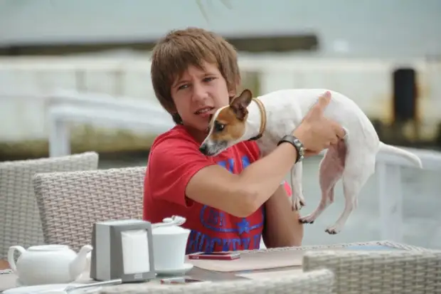 Ученые назвали самые долгоживущие породы собак