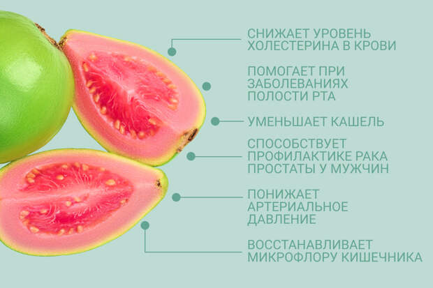 польза гуавы