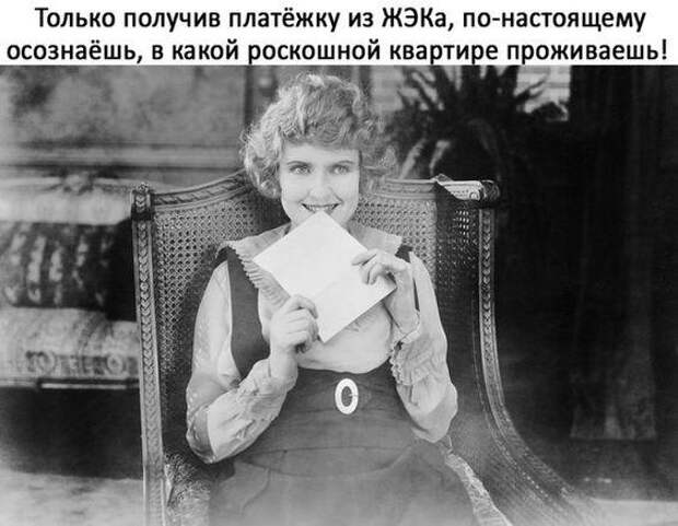 Смешные и прикольные картинки